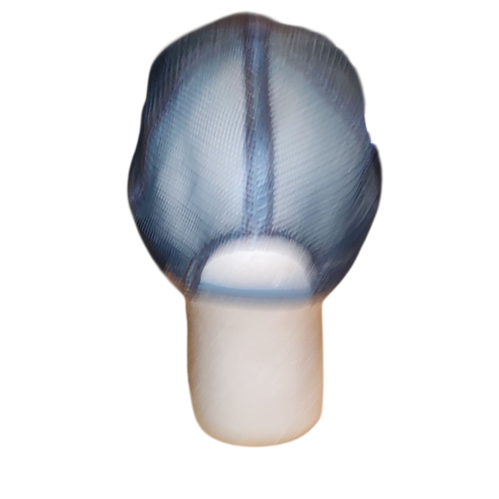 Source Unknown Blue Eagle Patch Hat - image 5